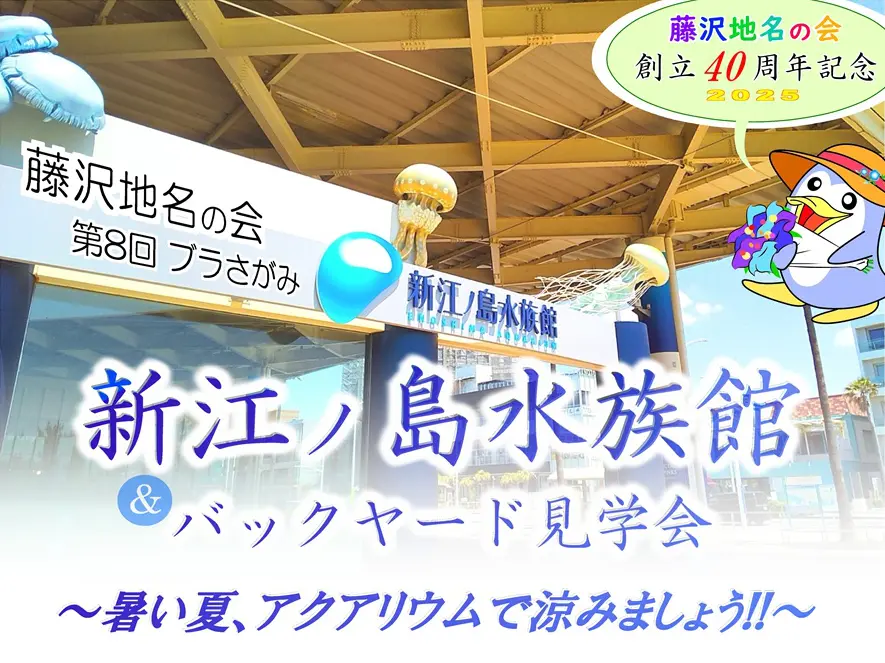 新江ノ島水族館 & バックヤード見学会のサムネイル画像