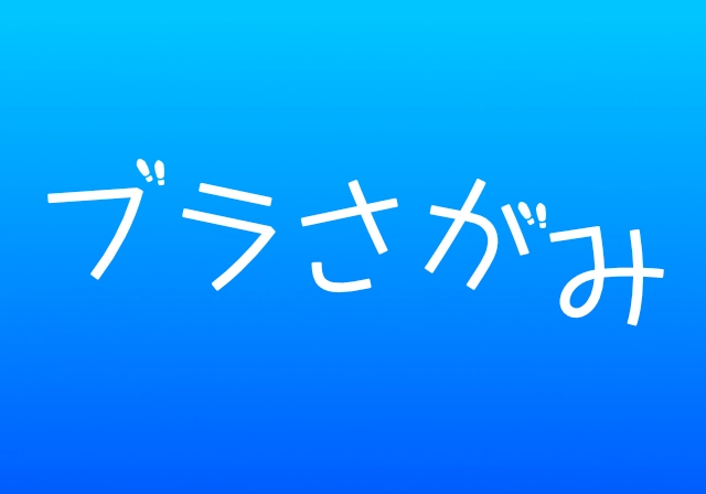 ブラさがみ